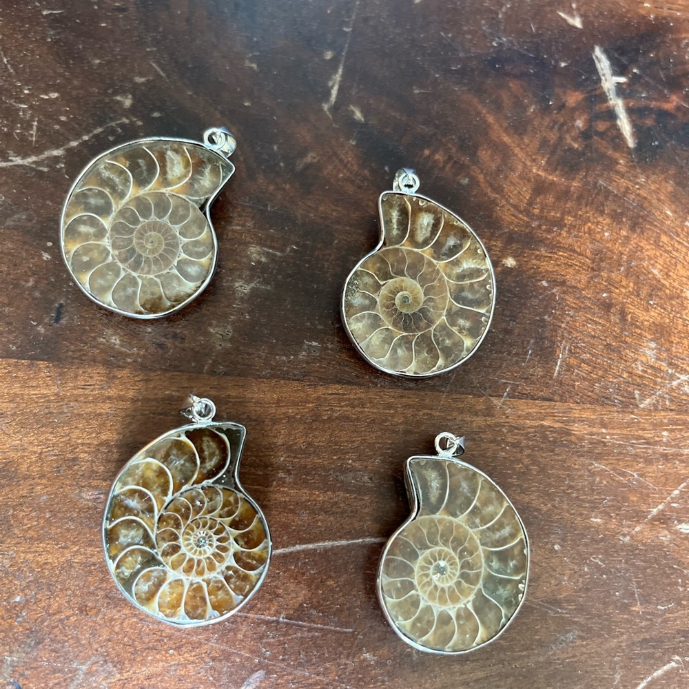 Fossil Ammonite Silver Pendants